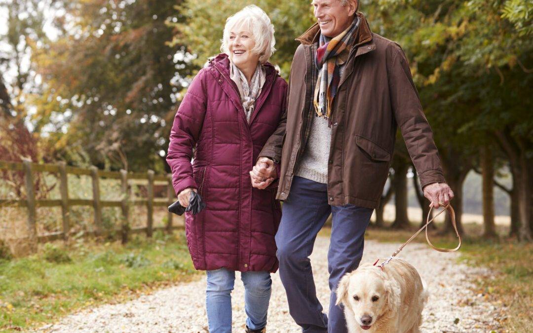 Active Senior Couple On Autumn Walk With Dog On Path Through Countryside