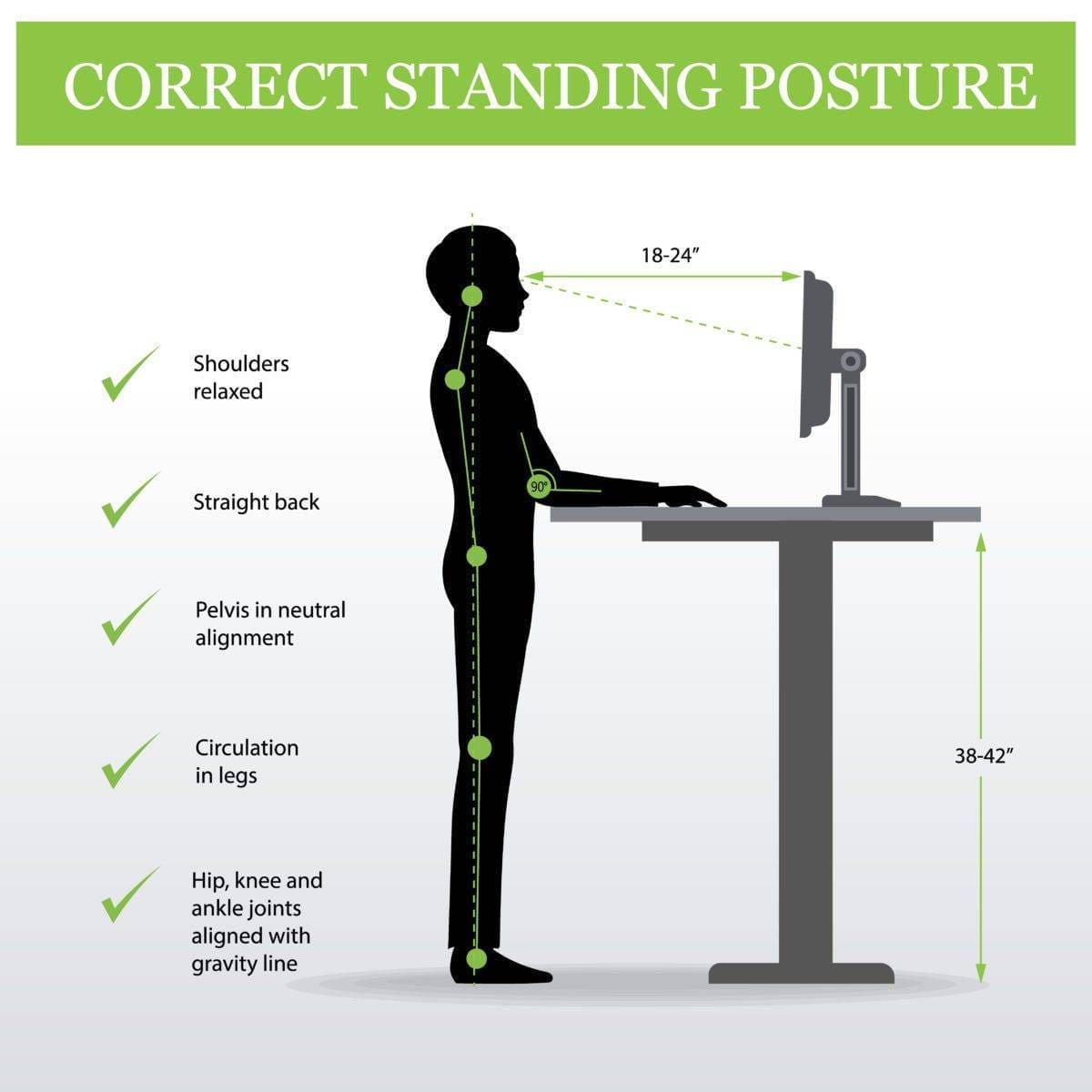 ergonomic. Correct standing posture and Height adjustable table